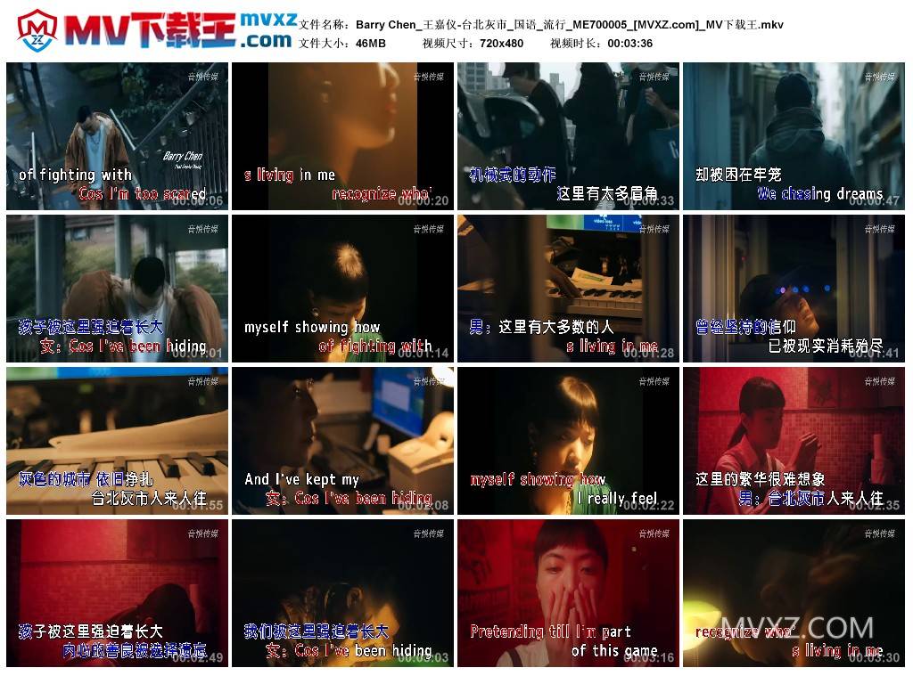 Barry Chen_王嘉仪-台北灰市_国语_流行_ME700005